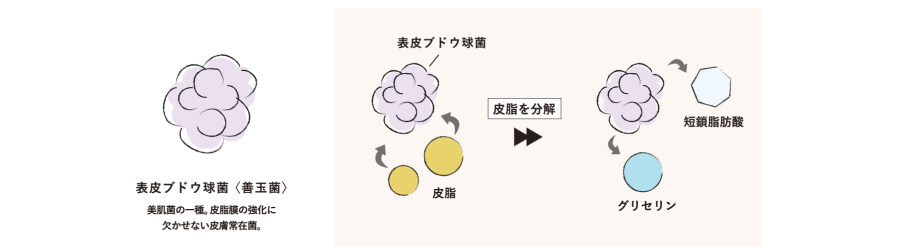 ①うるおいを生み出す