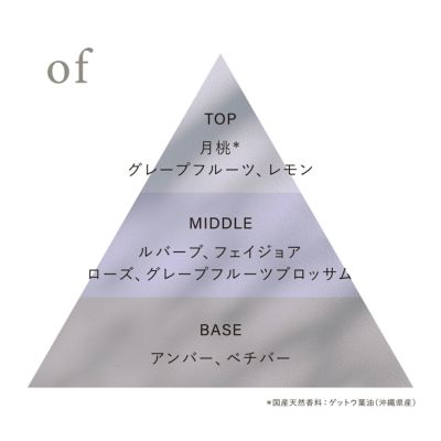 000000000742-08-m.jpg?t=